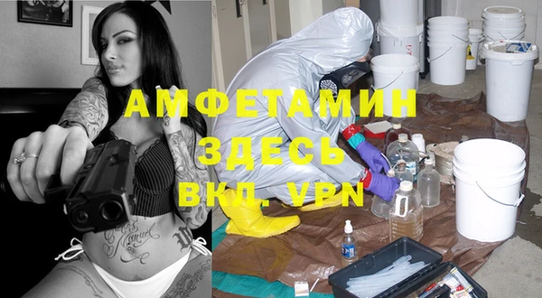 сатива Лагань