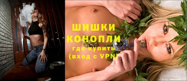 сатива Лагань