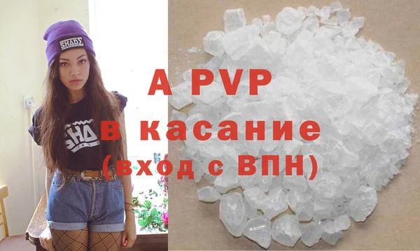 гидра Ладушкин