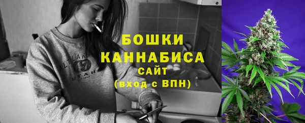 гидра Ладушкин