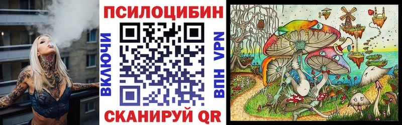Псилоцибиновые грибы мицелий  Купить закладки  Кодинск 